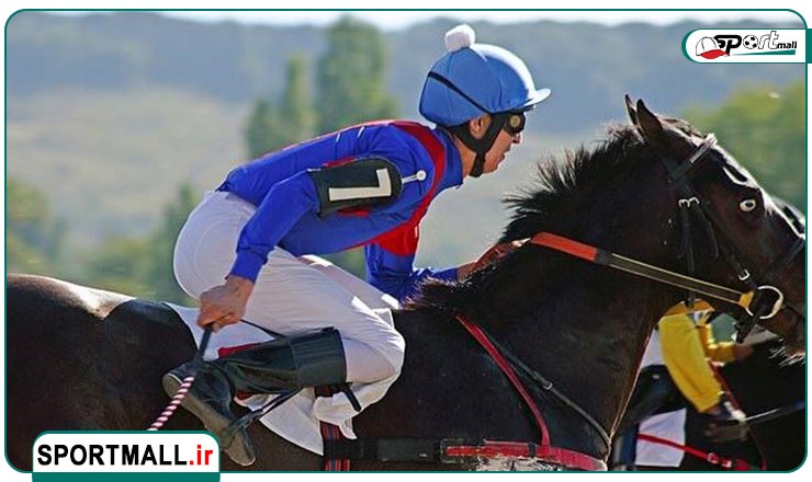 نکات کلیدی در انتخاب شلاق اسب سواری